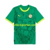 Camiseta Senegal Segunda Equipación 2025